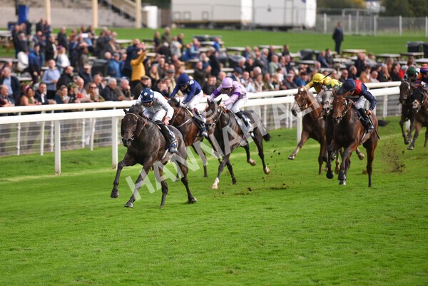 yr07102022r4-31 - Race 4 3.50pm William Hill Best Odds Guaranteed Stakes