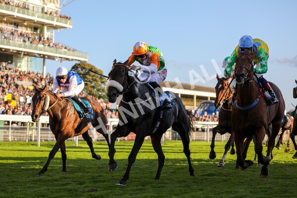 yr08102022r7-33 - Race 7 5.00pm The Coral Gets You Closer To The Action Stakes