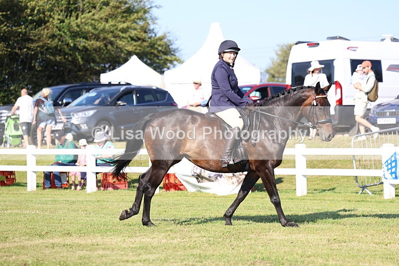 3E7A5301 - Class 2: Rising Star Large Hack/Riding Horse