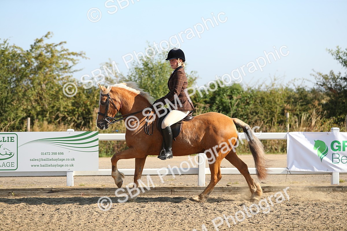 SBM_01144 - Class 42 Ridden Veteran
