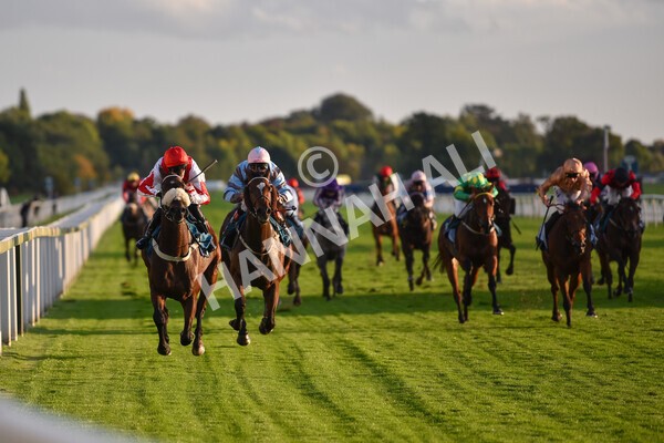 yr07102022r7-29 - Race 7 5.35pm IRE Incentive, It Pays To Buy Irish Stakes