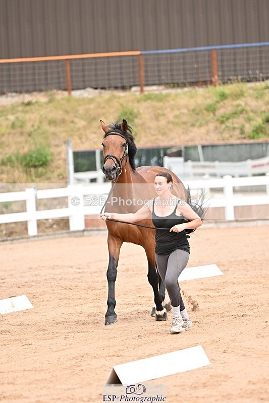 250716-150842-01684 - Trot Up 2.30 to 3.30