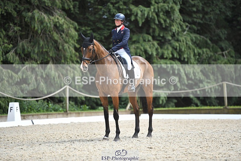 230525-150718-03196 - 324-DRUMGIVEN_MR_CHARISMA-Jeanette_Brakewell-WEDTrotUp+DR