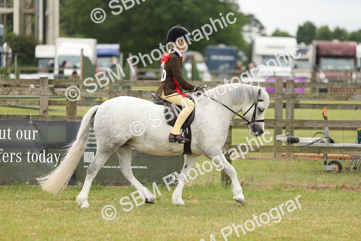 SBM_06963 - Class 74-75 - M&M Lead Rein and First Ridden Pony