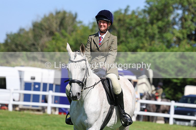 3E7A8564 - Class 5: Working Show Horse