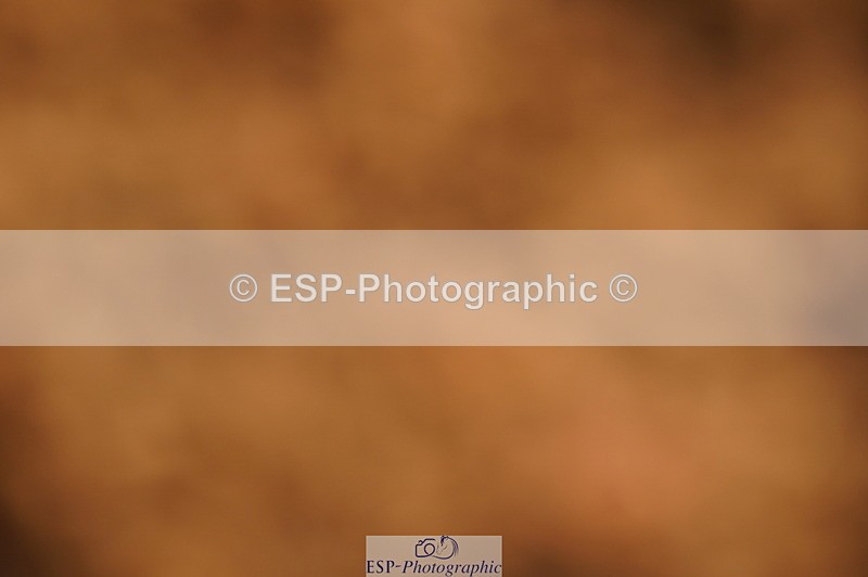 240628A-193434-01047 - Cls 4 1.10m Open