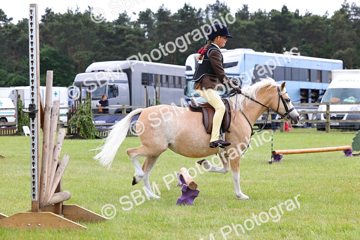 SBM_08585 - Class 42-43 - LIHS BSPS Heritage Working Sports Pony