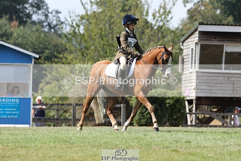 250823A-135411-31386 - Arena D