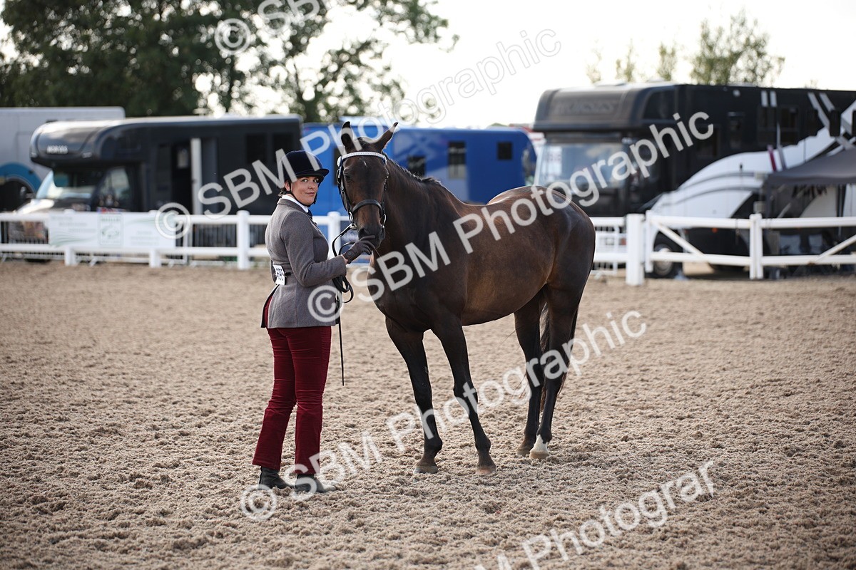 SBM_07102 - Class 25 IH Foreign Breeds- Pure bred