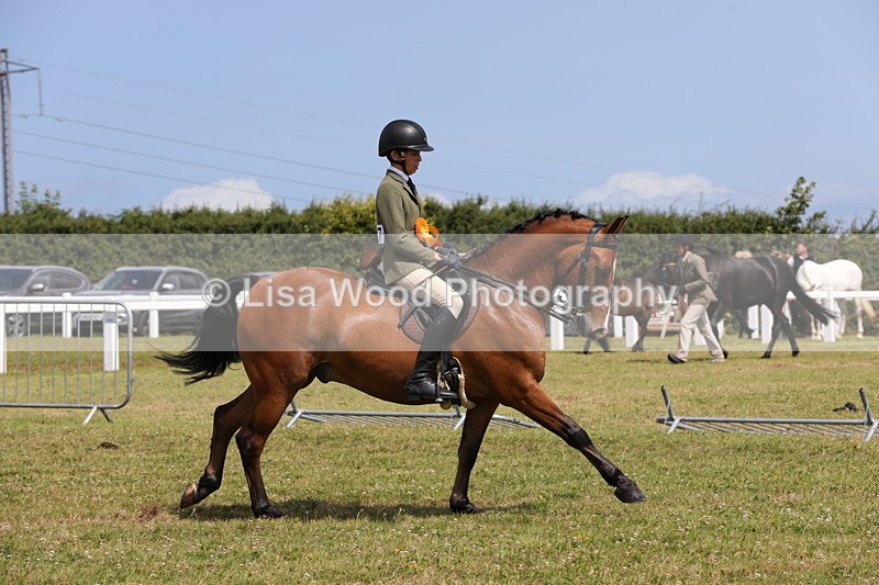 1X9A4130 - Class 32: Show Hunter Pony 153cm and under