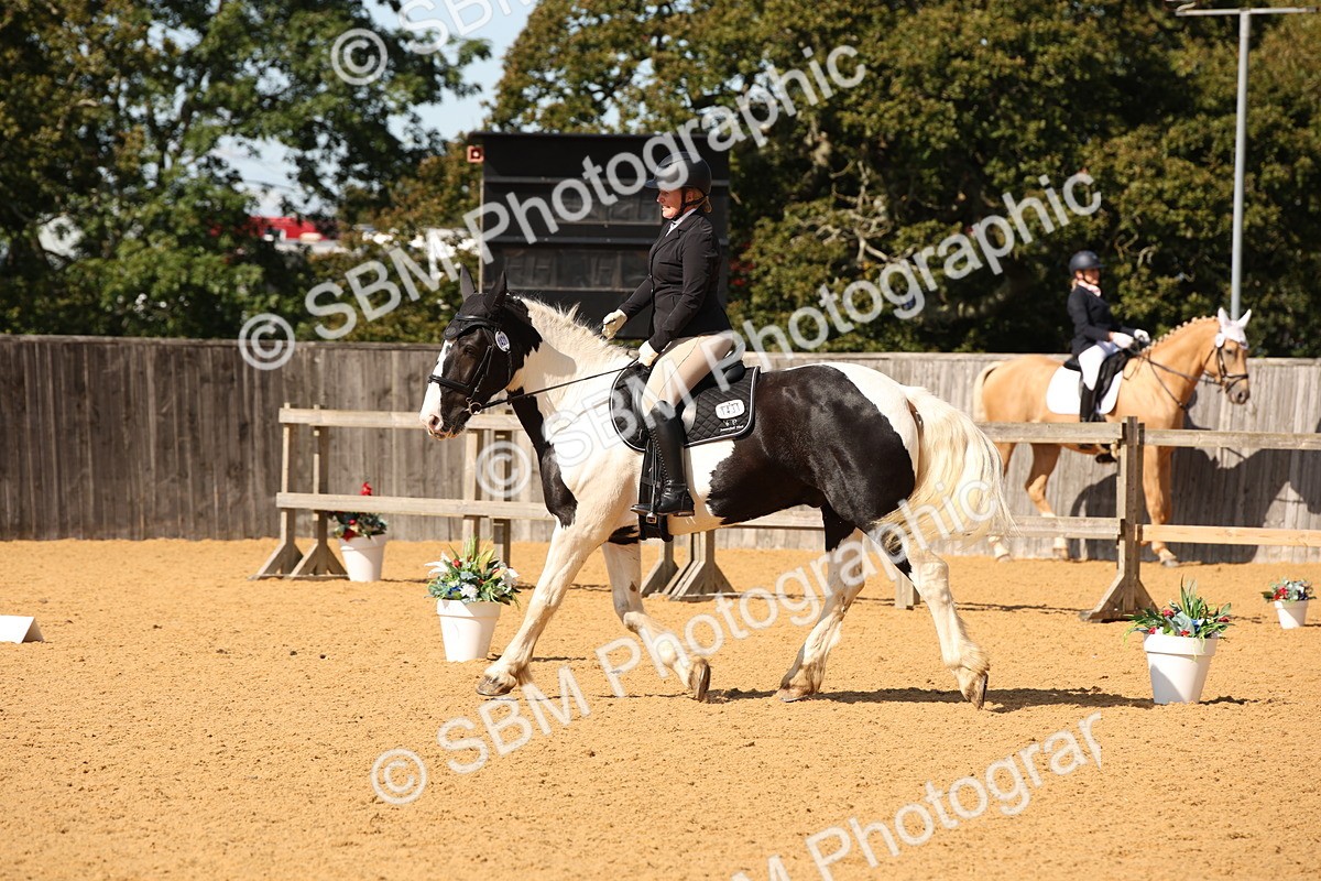 SBM_24127 - D5 - Small Tour Championship - Intro C