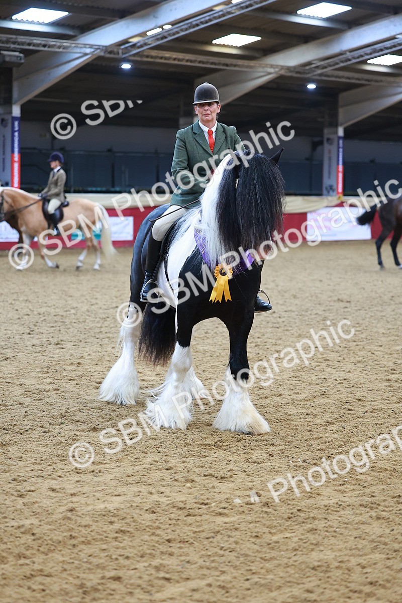 SBM_09867 - Class 102 - HOYS Veteran Qualifier - Ridden Veteran