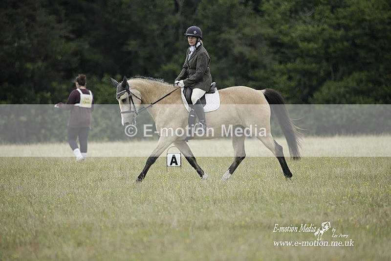 BVRC 030721 483 - Bourne Valley Riding Club Dressage 03/07/21