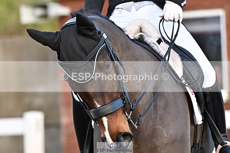 241214-145927-03037 - 160-Shelly.Smit-Sharp.Sharp