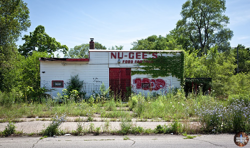 Gary, Indiana | Nu-Gee's Food - Gary, Indiana