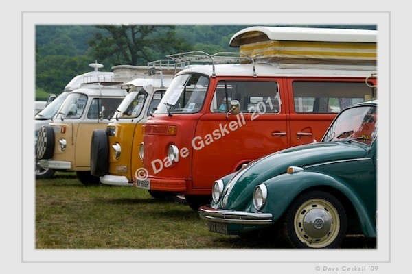 DSC_3596 - VWs