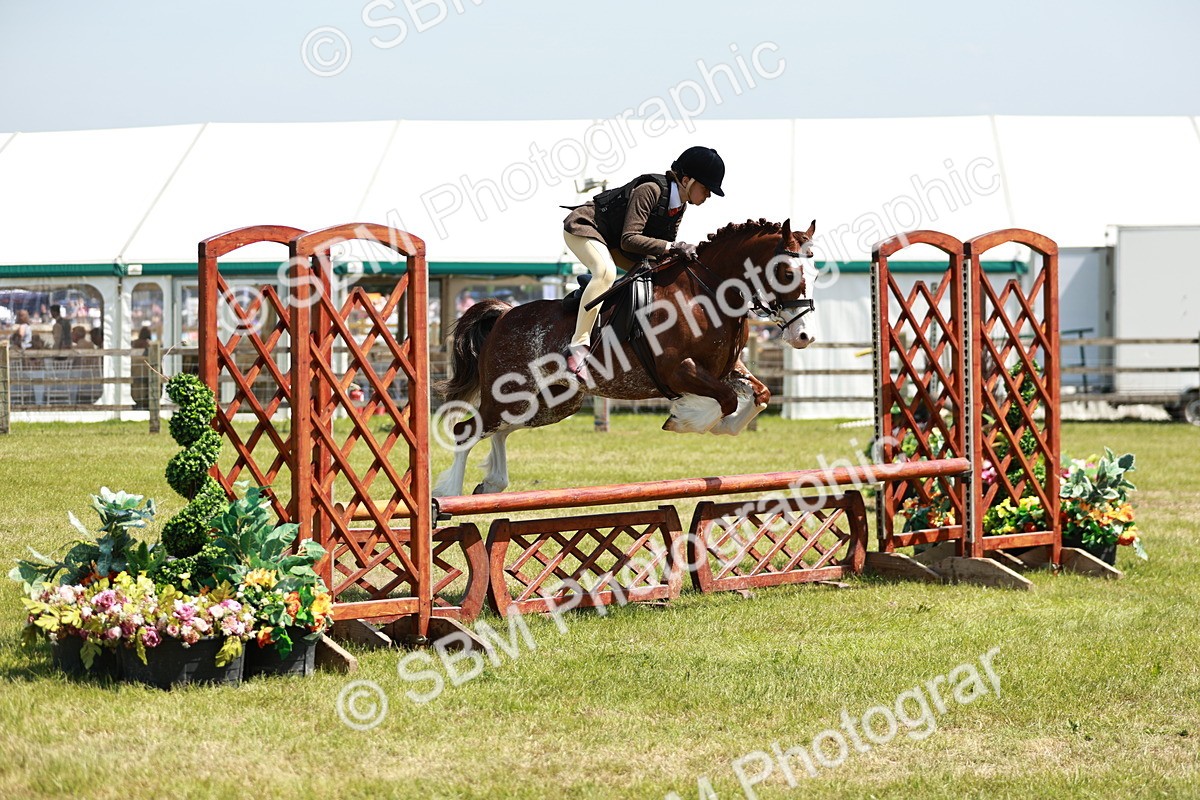 SBM_15519 - Class 108-109 - BSPS LIHS Open Gradle & Nursery Stakes