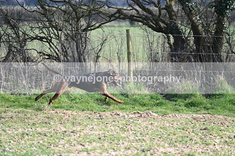 WJ7_5691 - Camera A