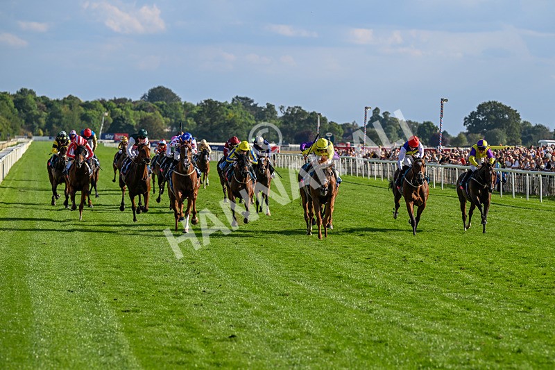 220826-Race 7-Raammee-1845 - Race 7 17.20pm Sky Bet Dav Reid Finale Handicap