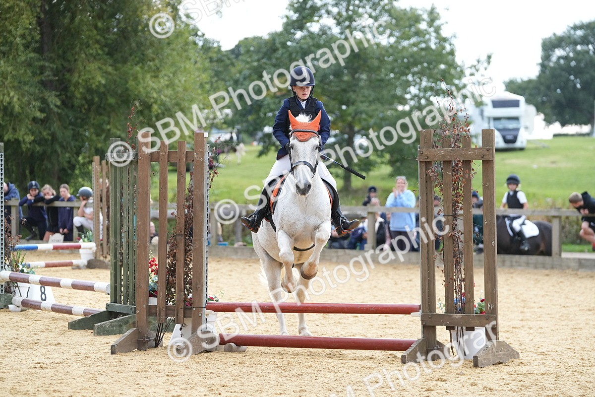 SBM_74690 - J4 - Mini Tour Junior Pony 45cm Championship
