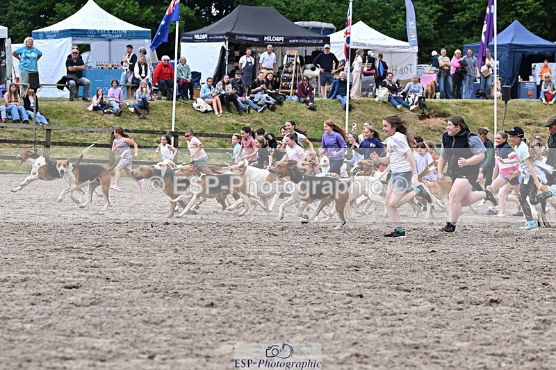 250524A-152734-12752 - East Devon Hounds