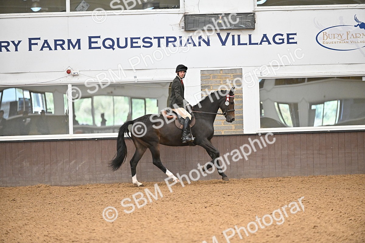 SBM_001456 - Class 19,20 - Ridden Native, Foreign Breeds & Warmbloods