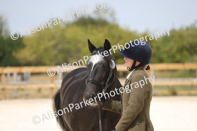 20260802-1504 - Class 16 - Best Horse or Pony