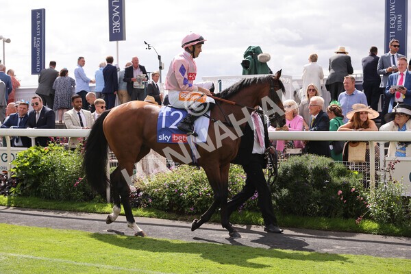 yr19082022r1-11 - Race 1 1.50pm Sky Bet Stakes