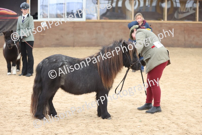 20251109-0245 - Class 11 - 2 and 3 Year Old