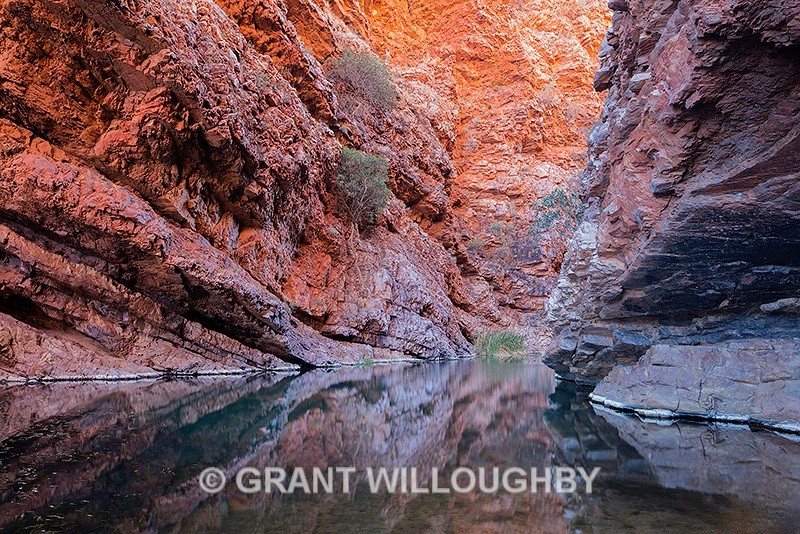 Ormiston gorge Northern Territory - Australia