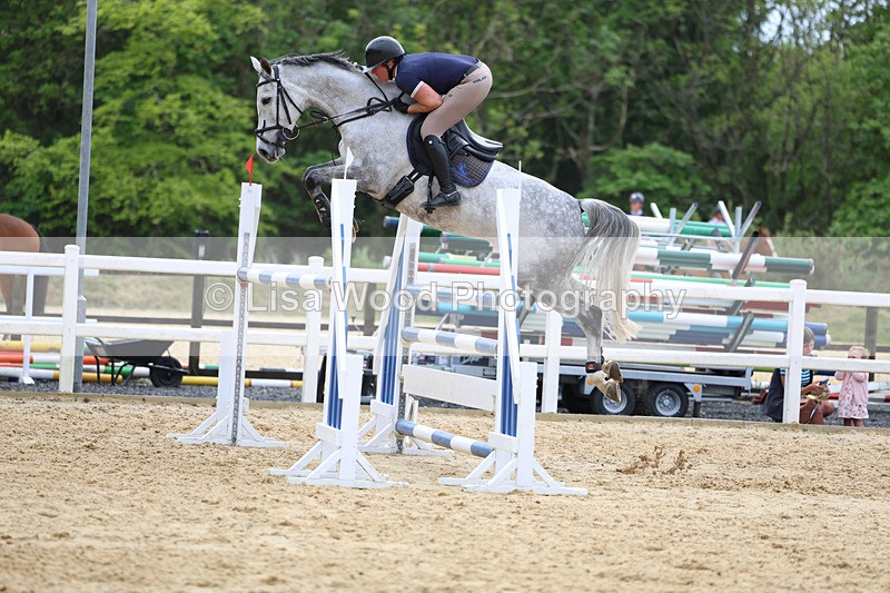 3E7A7588 - Class 8: Senior Foxhunter/1.20 open