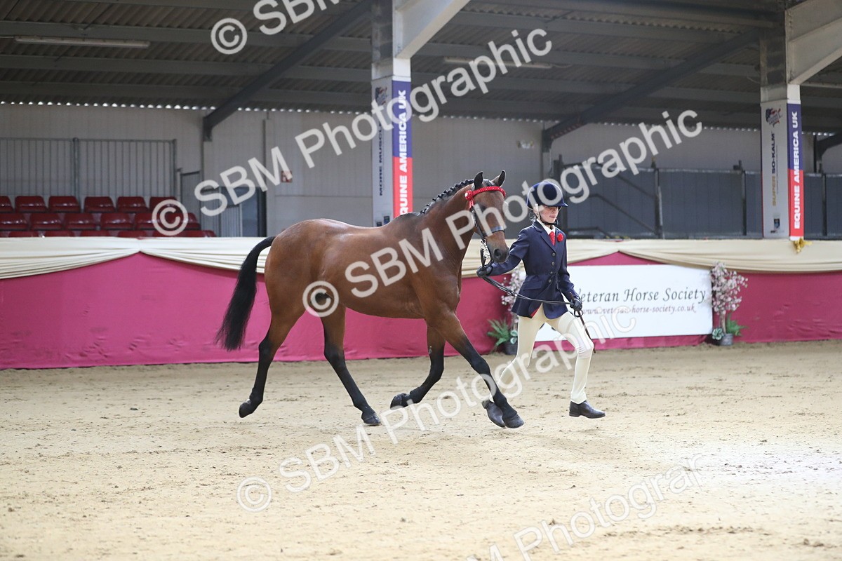 SBM_01293 - Class 3a Area IH Pre Vet