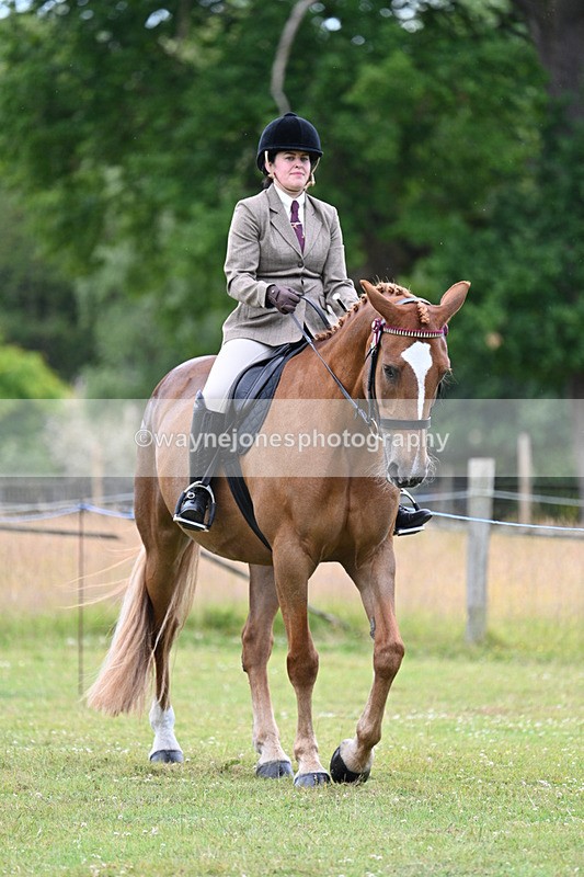 WJ7_8962 - Class 8 Ridden Veterans