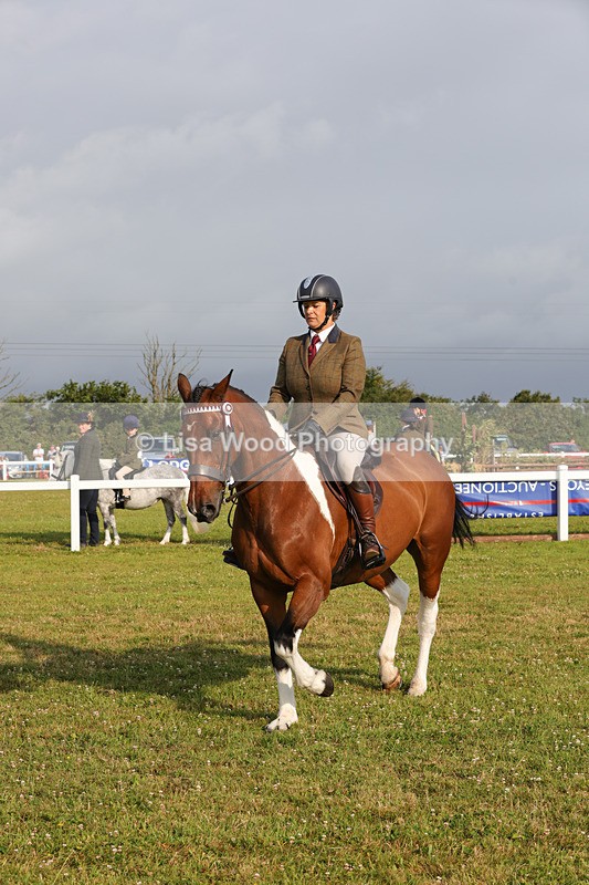 1X9A2901 - Class 25: Ridden Plaited Coloured Horse