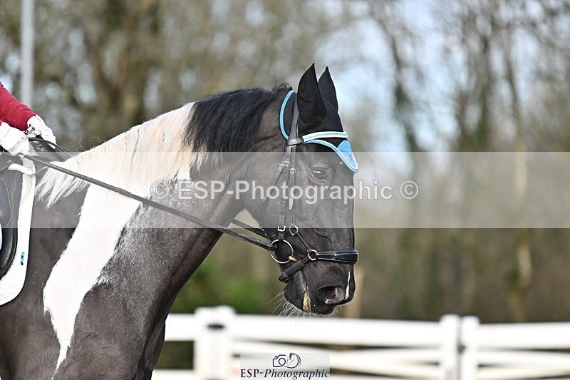 241214-112356-01385 - 130-Alys.Matravers-Tiger.Mazariti