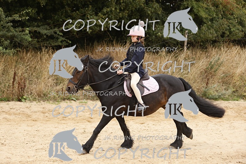 _R6A0989 - Sand arena