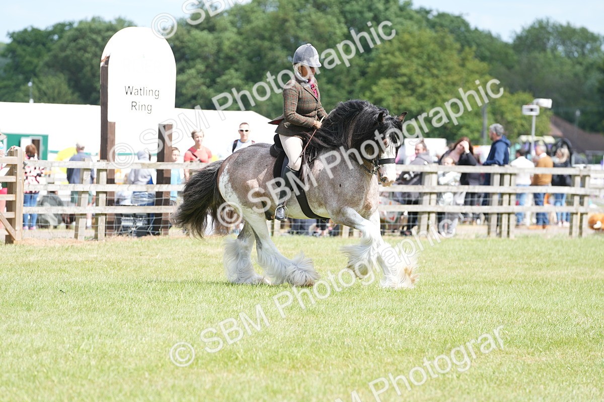 SBM_17203 - Class 107-108 - LIHS BSPS Performance Coloured Horse Pony
