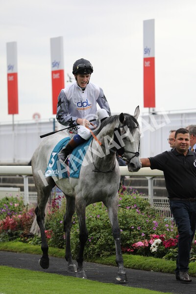 yr23072022r5-5 - Race 5 4.25pm Sky Bet UK's No1 Betting App Stakes