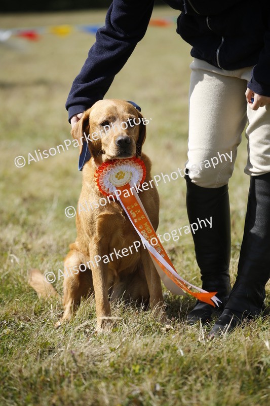 20250831-3801 - Dog Show