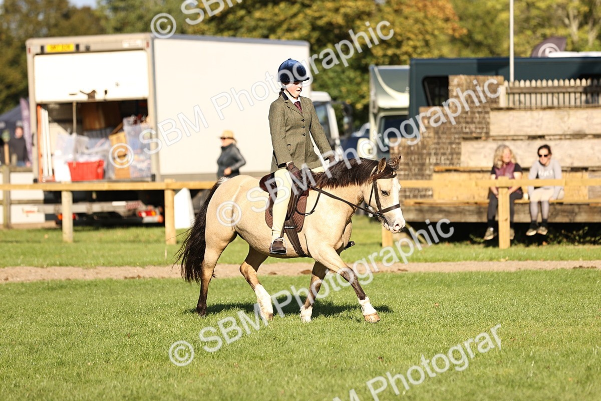 SBM_29401 - S7 - Novice & Newcomers Ridden Pony
