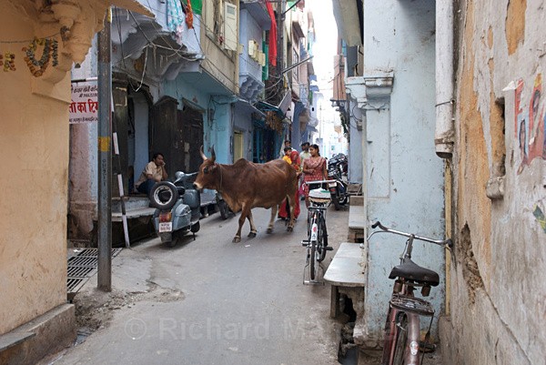  - Rajasthan, India