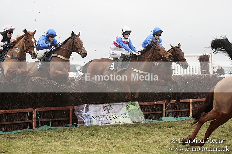 PtP 180218 378 - Combined Services Point-to-Point Larkhill 18/02/18