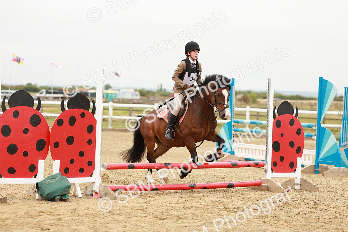 SBM_007309 - Class 2 - 50cm