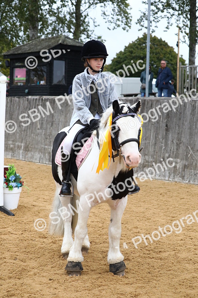 SBM_72111 - J3b - Mini Tour Junior Pony 40cm Championship