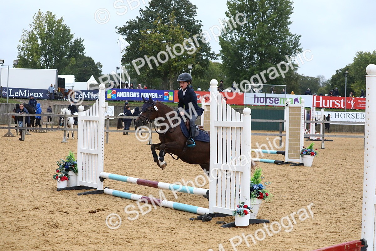 SBM_71999 - J3b - Mini Tour Junior Pony 40cm Championship