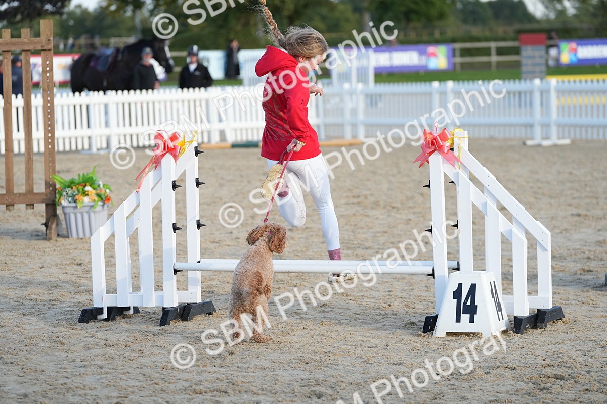 SBM_29490 - J44 - Horse & Hound Open 70cm