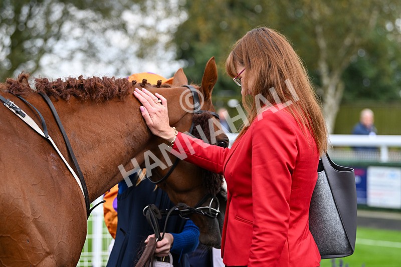 240924-Race 5-Ifonlytheycudtalk-6549 - Race 5