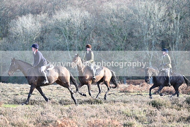 WJ7_7937 - Line 3 (no line 4 or 5)