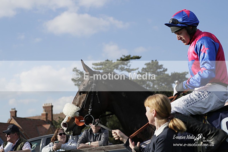 PtP 080423 731 - Dingley Races The Woodland Pytchley Hunt PtP 08/04/23