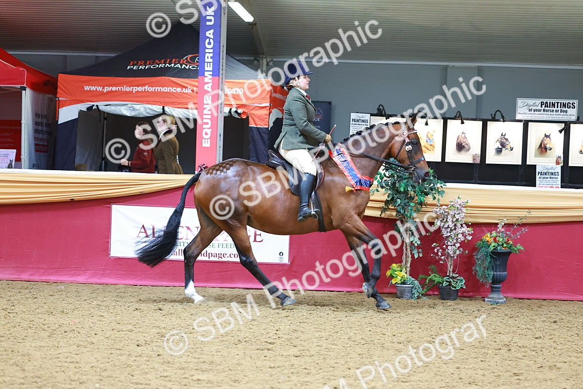 SBM_06415 - Regional Ridden Championship